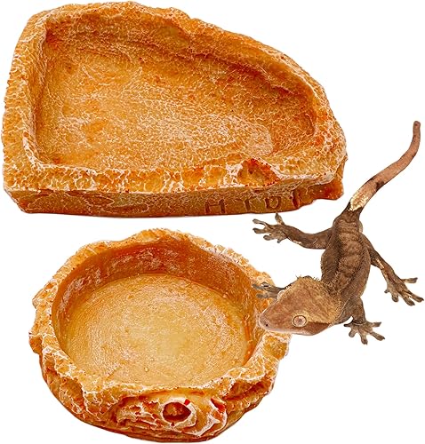 Miniatura 19 de Plato pequeño de comida para reptiles, paquete de 2 cuencos de comida para reptiles para dragón barbudo, gecko, lagarto, rana, cangrejo ermitaño