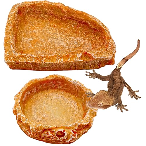 Reptile Water Dish Food Bowl Bearded Dragon Bowls, 2 Pack