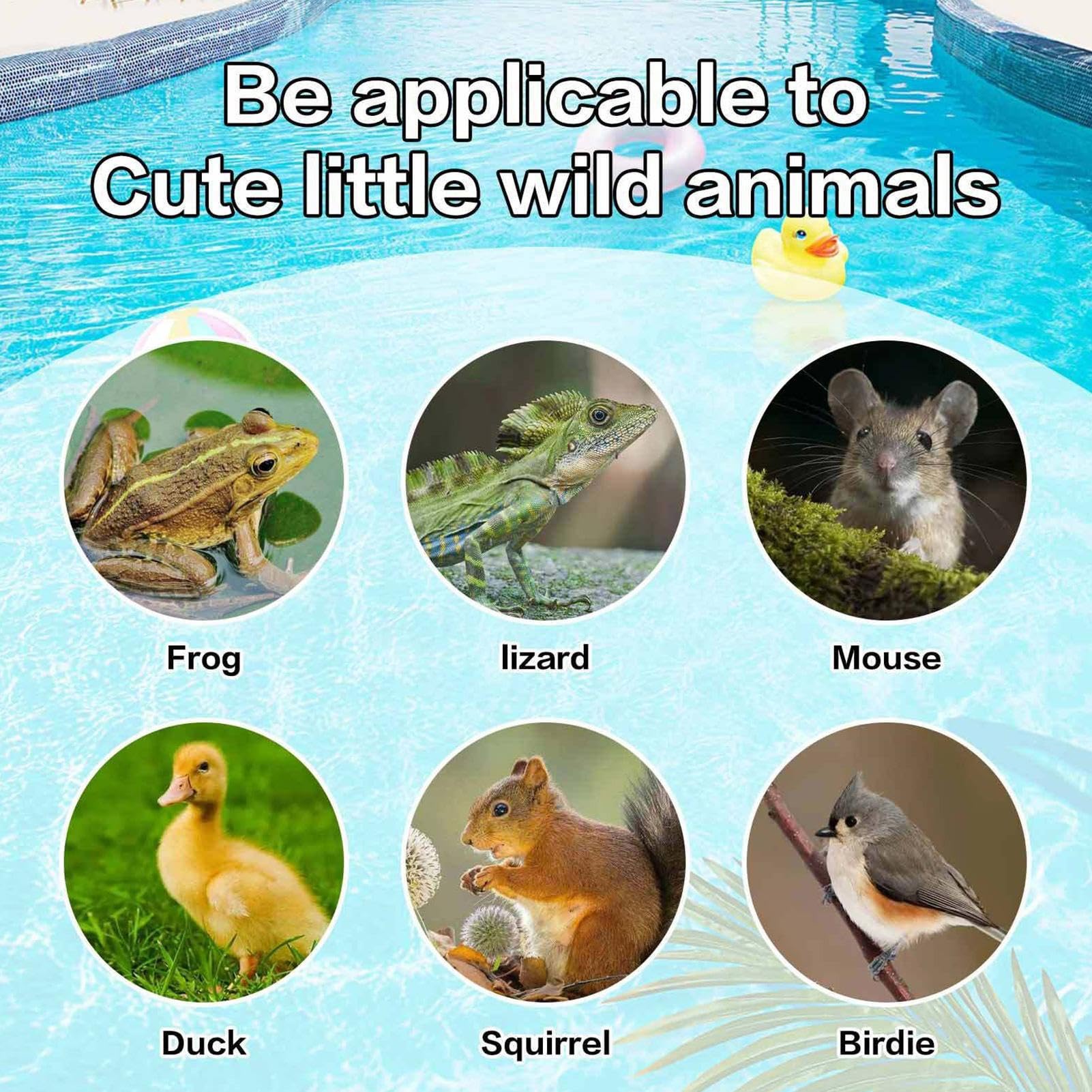 Rampe D'évasion Pour Animaux 1/2 – Rampe D'évasion Pour Petits Animaux | Tissu Oxford Flottant Pour Piscine, Outil De Sauvetage Pour Animaux En Plein Air, Grenouille, Tamia