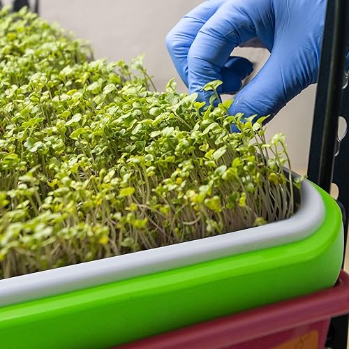 Miniatura 6 de Paquete de 10 bandejas para germinación de semillas con agujeros de drenaje, kit de bandeja de germinación de semillas sin BPA, bandeja de guardería