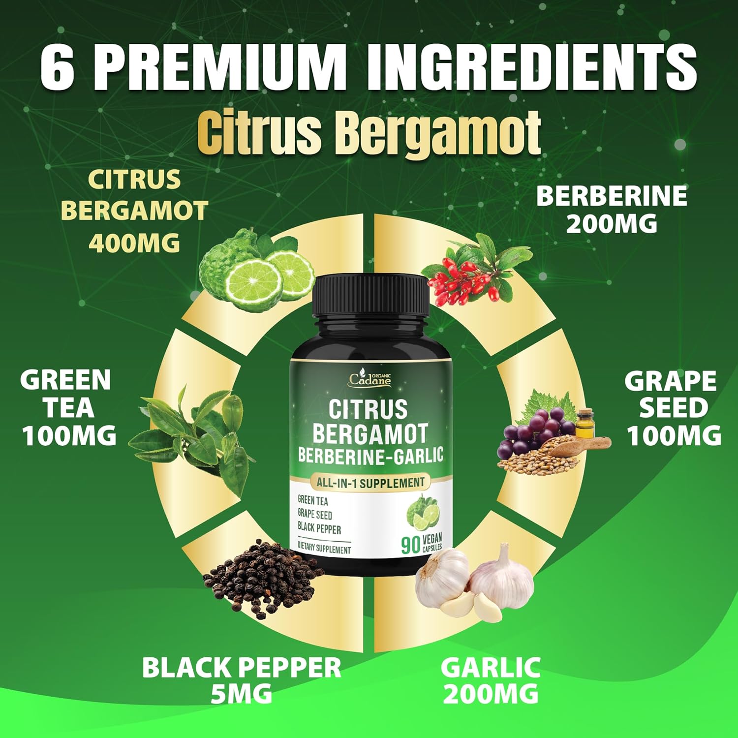 Cadane Citrus Bergamot Supplement with Berberine, Garlic, Green Tea, Grape Seed & Black Pepper | Wellness & Vitality Support | Vegan, Non-GMO – 90 Capsules – 45-Day Supply - Image 3