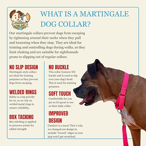 Miniatura 7 de Country Brook Petz Collar tipo Martingale para perro de nailon de alta resistencia