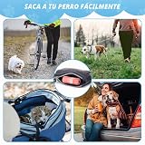 Ver la foto 7