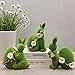Genérico Conejos de Peluche con Flores de Margarita Imagen de Genérico Conejos de Peluche con Flores de Margarita