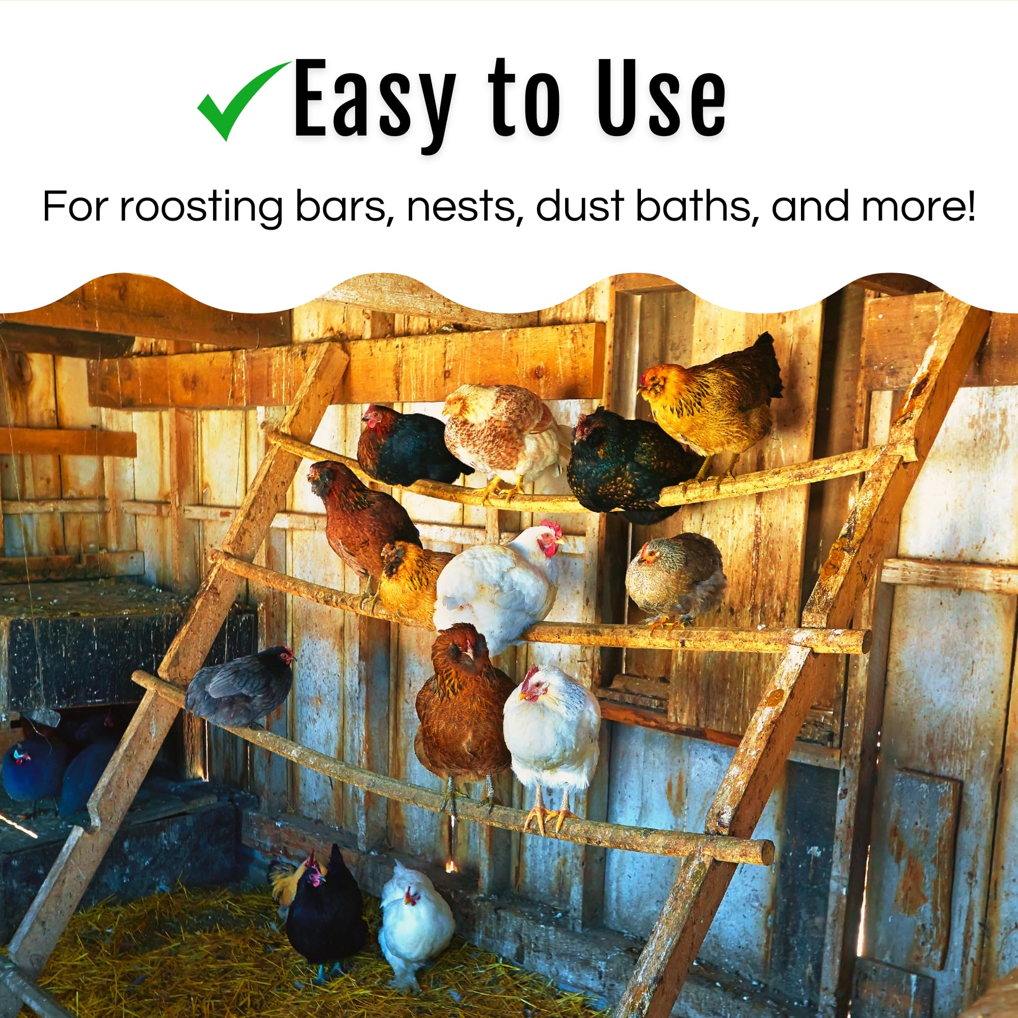 Buff Clucks Dust Bath Herb Blend for Chickens - Keep Feathers Clean & Healthy - Food Grade, Natural Nesting Box Herbs for Bedding, Coop Floor, USA (12 oz)