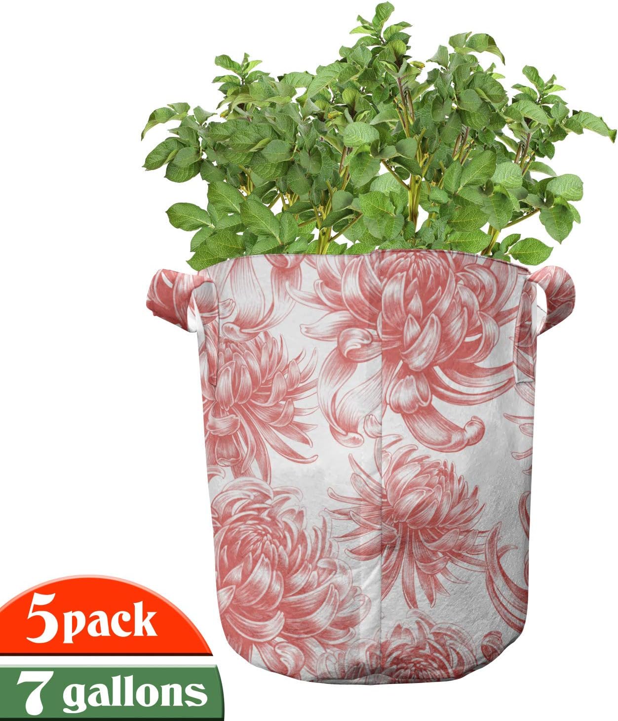 Lunarable Floral Grow Bags 5-Pack, Chrysanthemum Bouquet Pastel, Heavyduty Fabric Pots with Handles for Plants, 7 Gallon, Dark Coral White