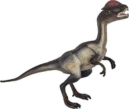 Miniatura 5 de Safari Ltd. Figura de Dilophosaurus - Figura detallada de dinosaurio de 5.27 pulgadas, juguete educativo para niños, niñas y niños a partir de 3 años