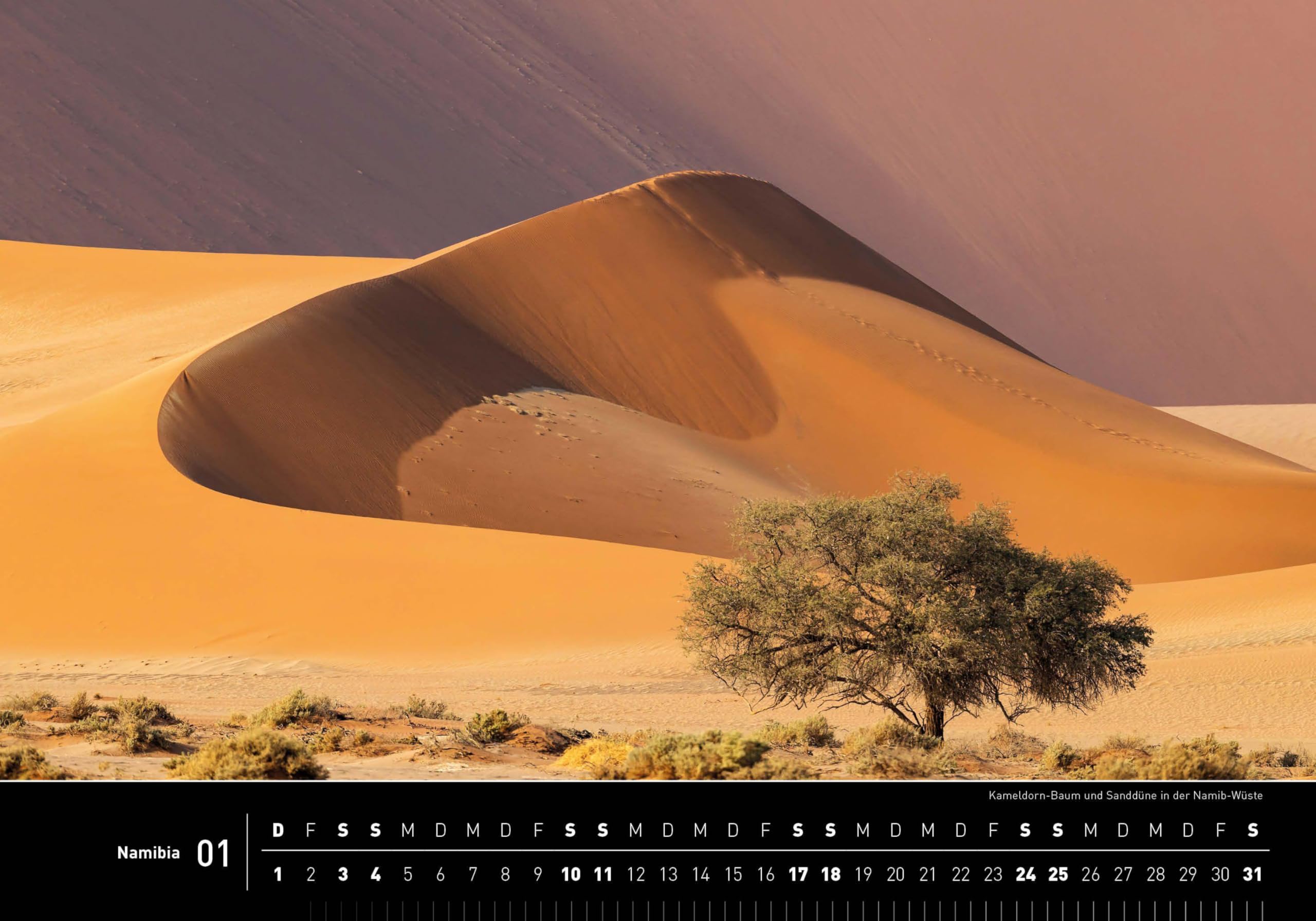 Namibia Premiumkalender 2026 (360° Premiumkalender 2026: Format 50 x 35 cm)