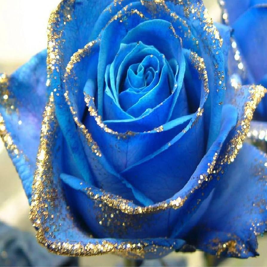 てぃんくる　版画　UNDERWATER BLUE ROSE 数量限定】【てぃんくる】ファンダムアート・UNDERWATER BLUE