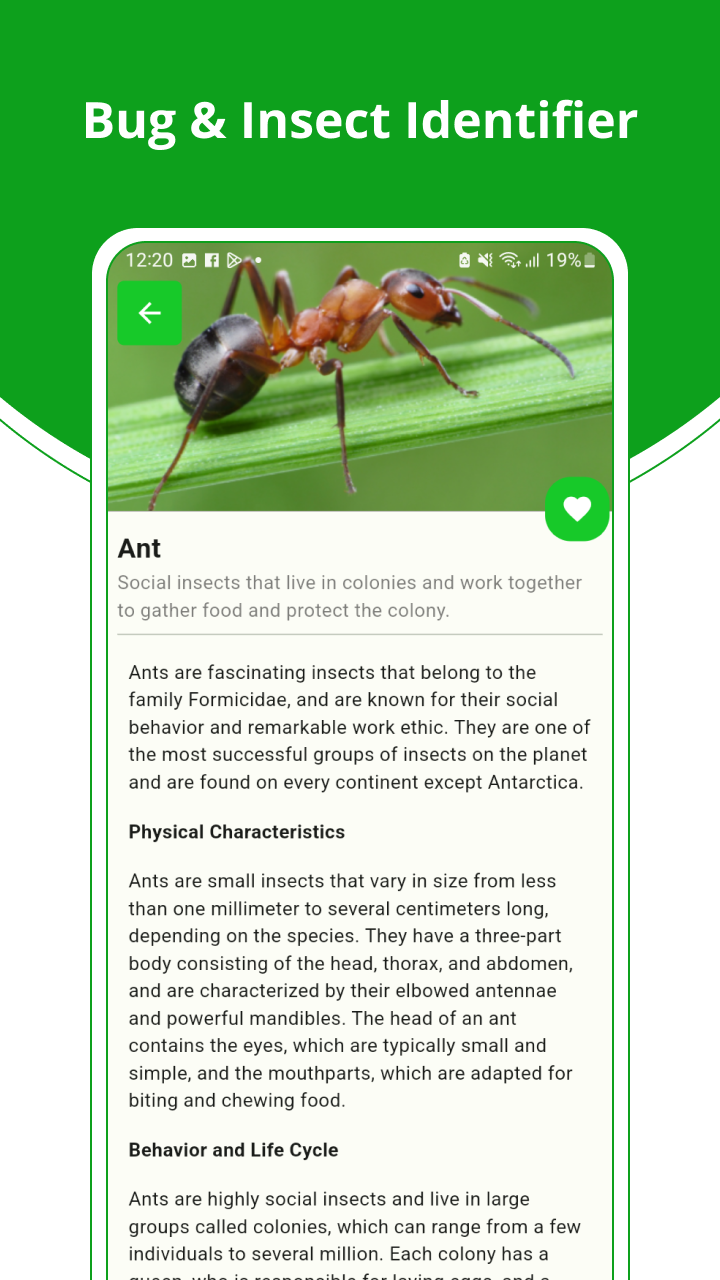 Bug & Insect Identifier App on Amazon Appstore