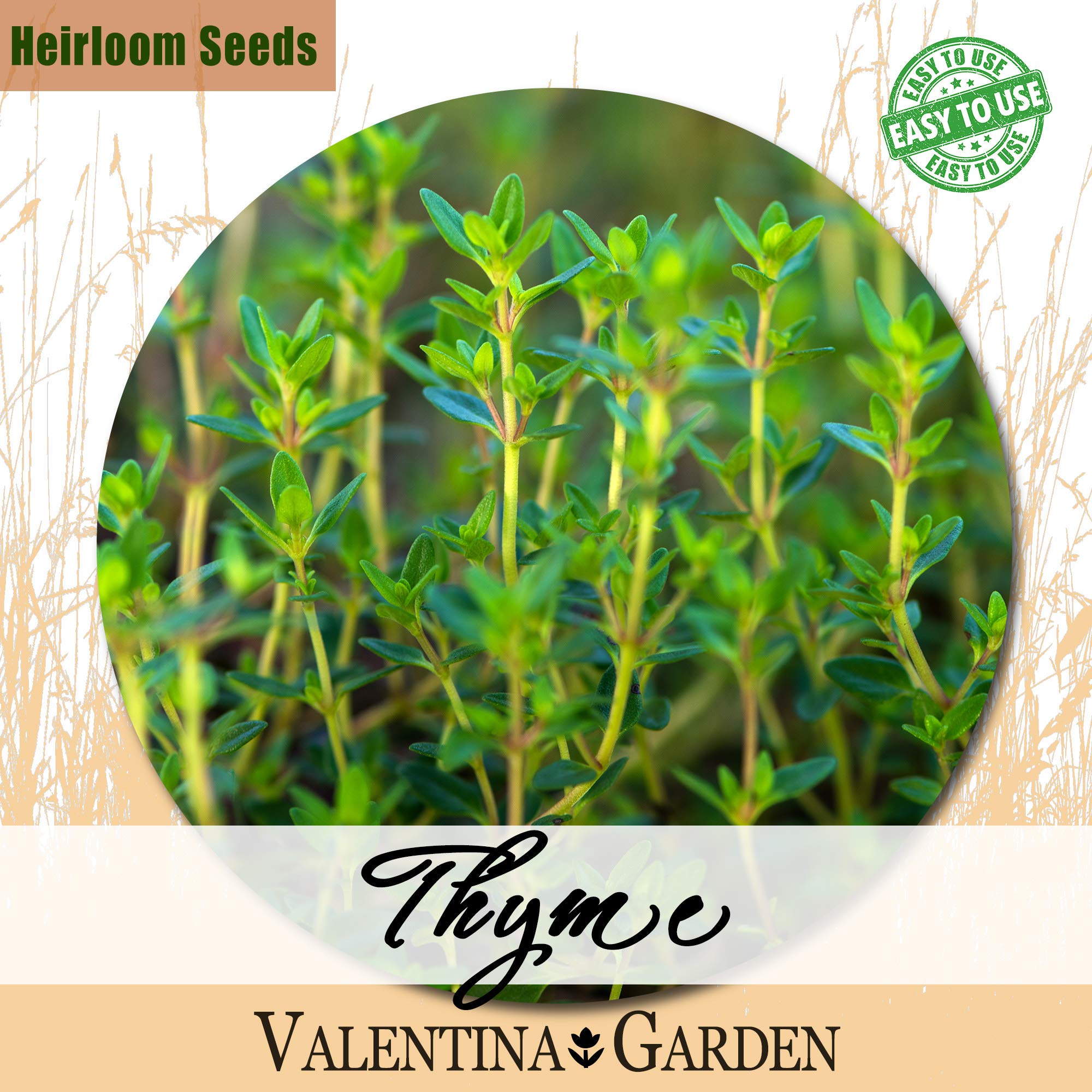 YBWL 500 Pcs Thyme Seeds for Planting - Heirloom Packet, Fantastic Way to Spice Up Your Home Garden