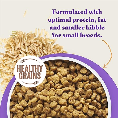 Vista 12 de Halo Holistic - Alimento para perros de raza pequeña, receta de pollo y arroz integral sin jaula, alimentos secos para perros de granos saludables