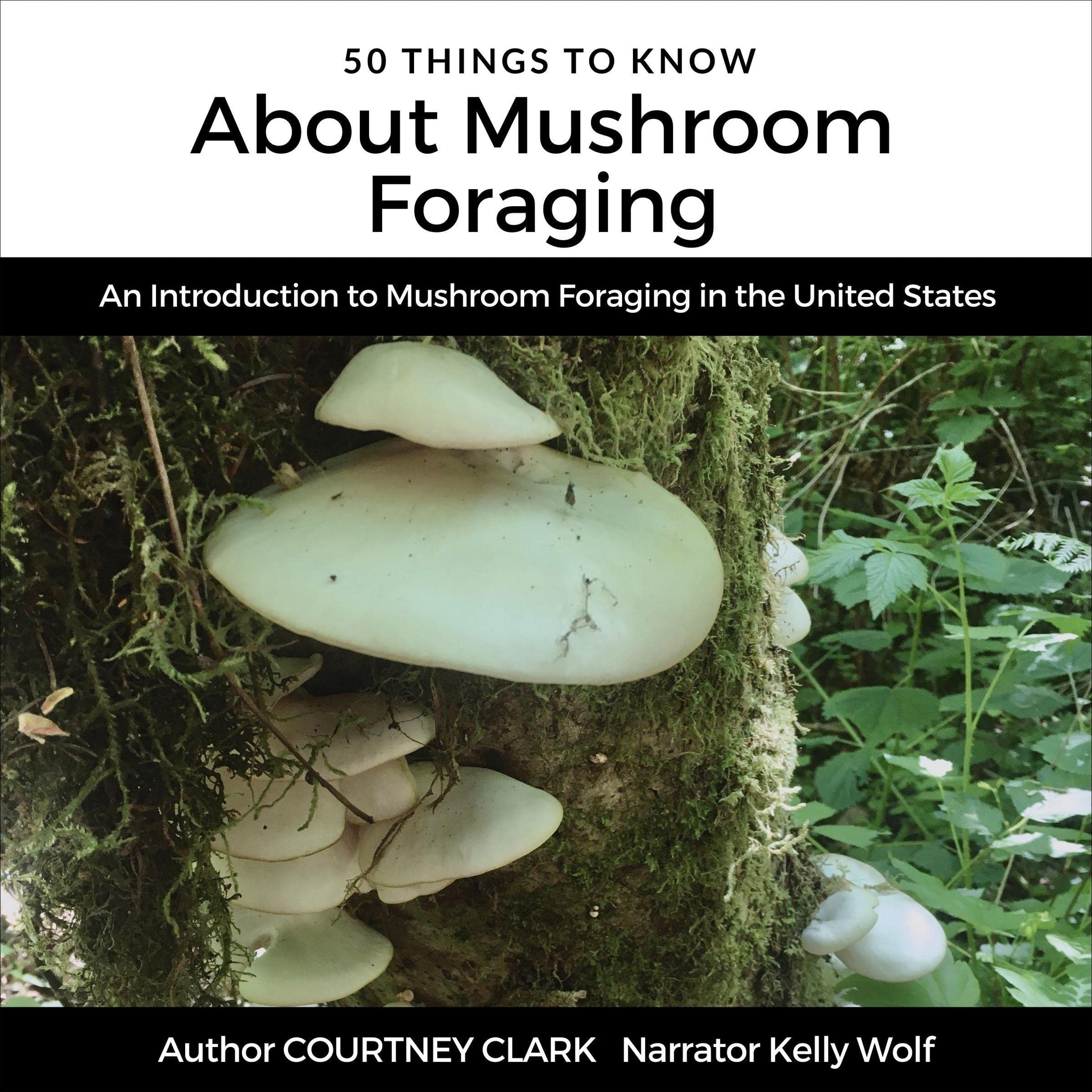 50 Things to Know About Mushroom Foraging