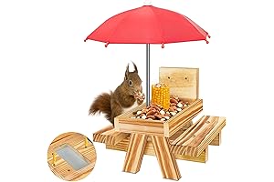 Carbonized Wood Squirrel Picnic Table Feeder