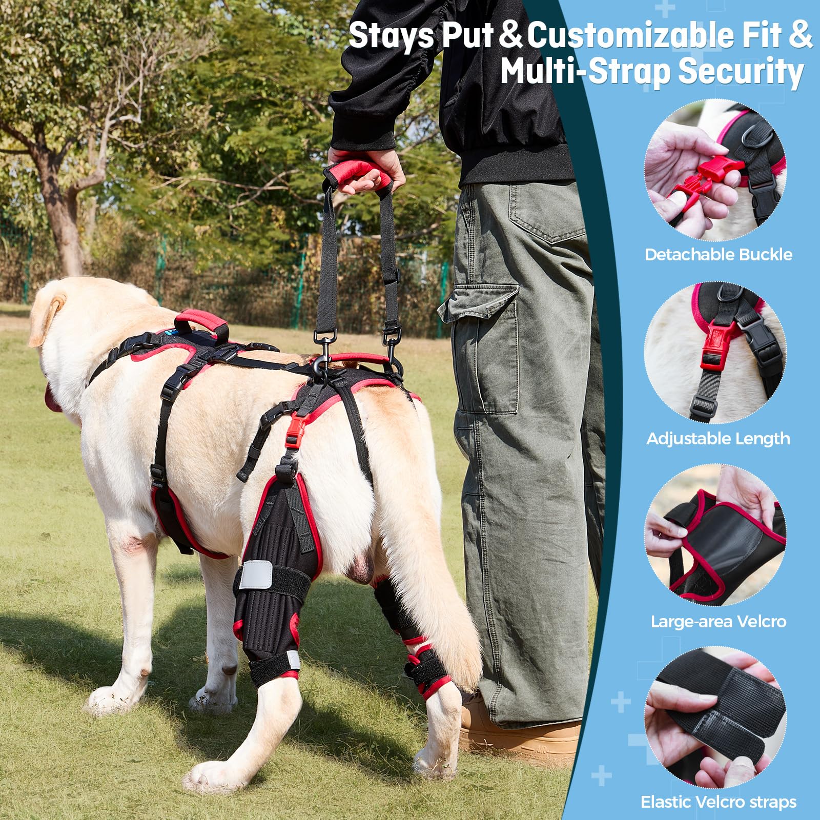 Hundekniebandage ACL/CCL für große Hunde, 2er-Set Hinterbeinbandagen mit Griffen & Schultergurt – rutschfeste Unterstützung bei Verletzungen, Arthrose & nach Operationen, Schwarz, L