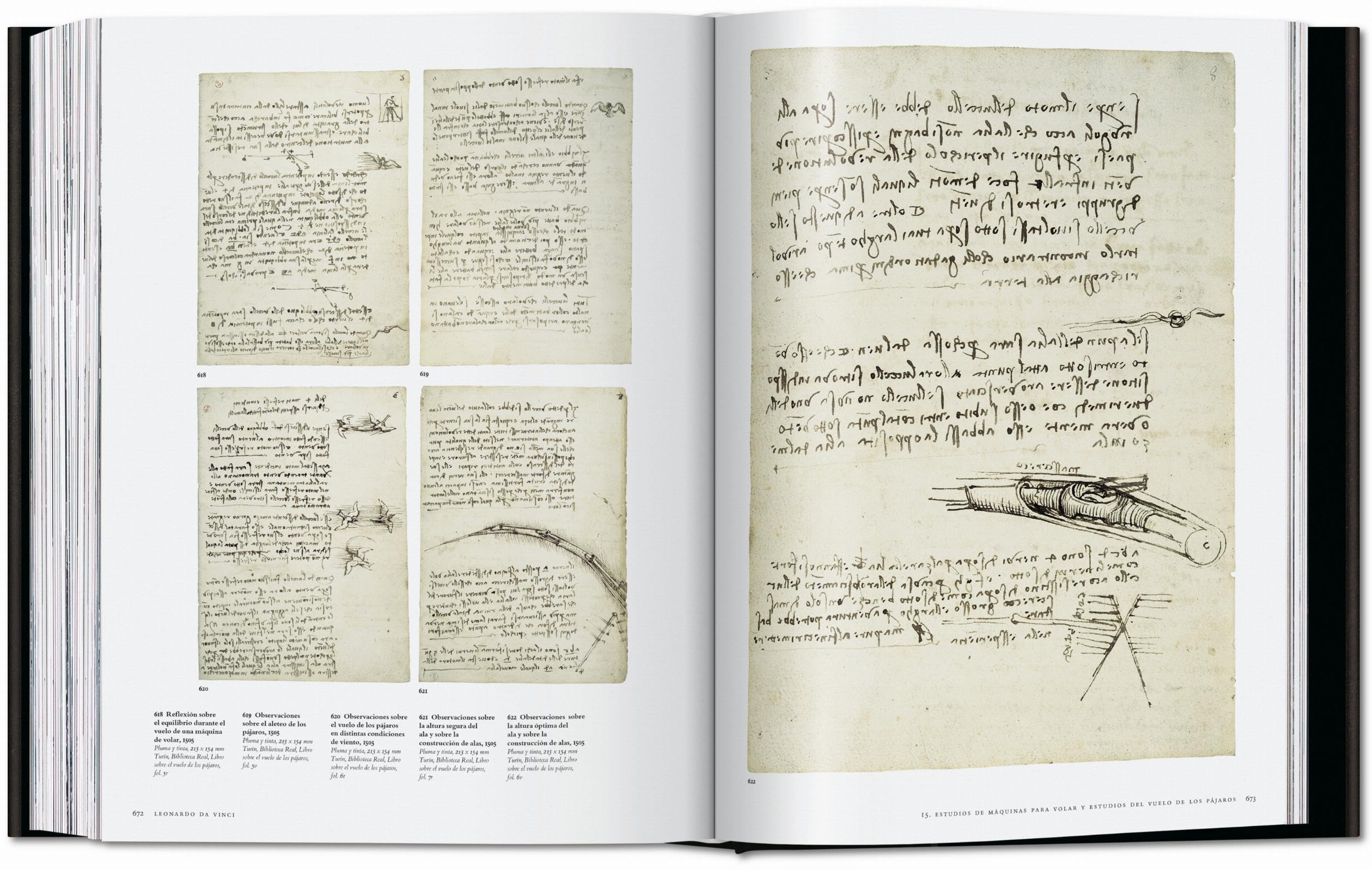 Leonardo: Obra pictórica completa y obra gráfica