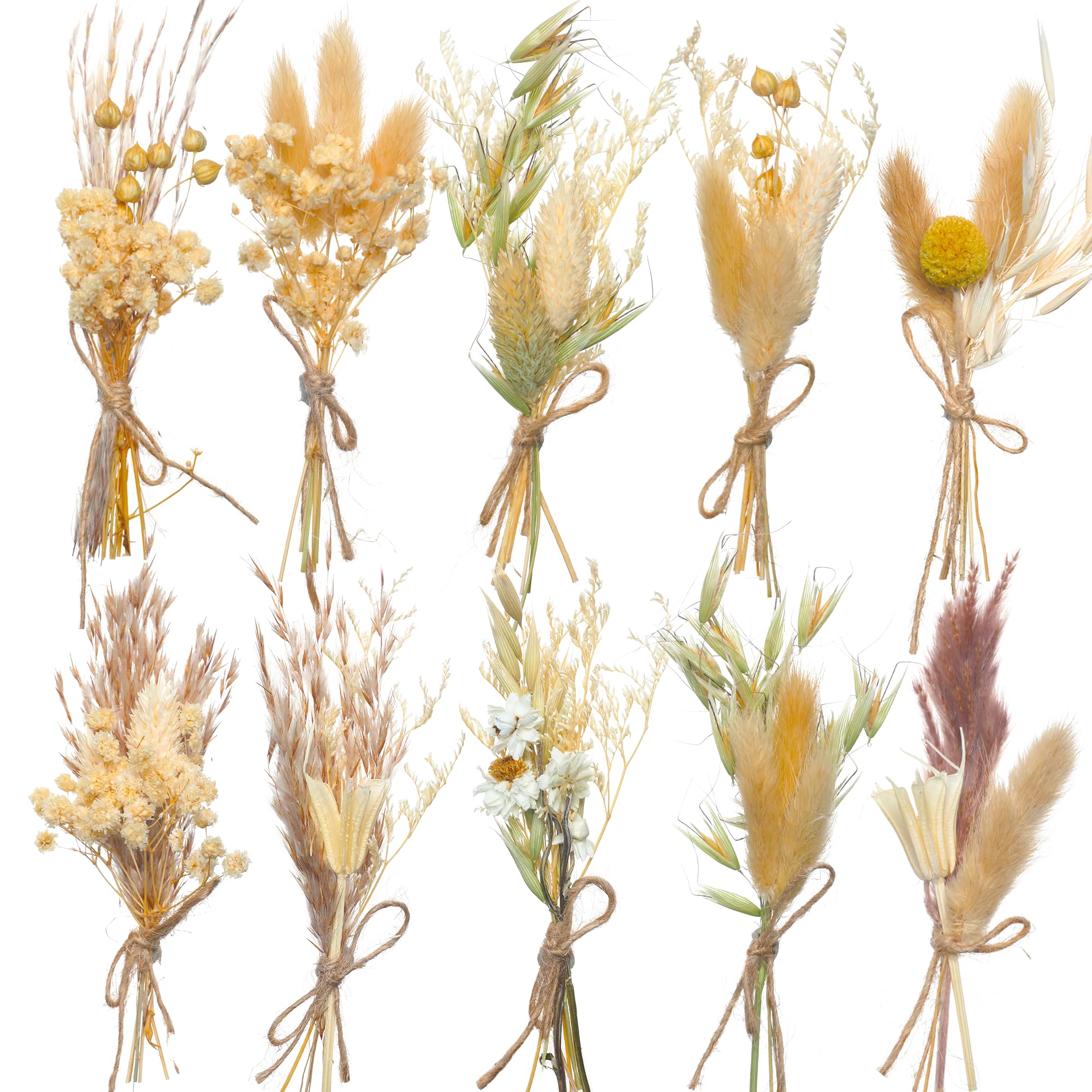 10 Pack Fall Mini Dried Flower Bouquet, 5.5'' Thanksgiving Dried Flowers with Stem Small Dried Wildflowers Combinations Dried Flowers Floral for DIY Craft Scrapbook Card Gift Wedding Decor