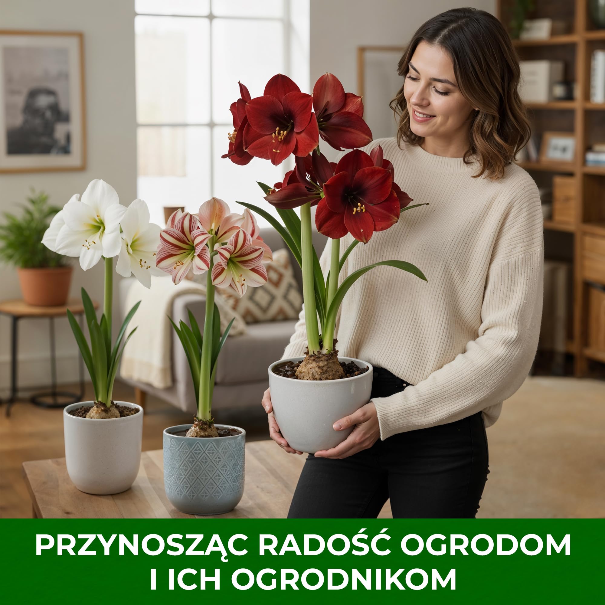 Kolekcja Amaryllis Surprise (10 cebulek) w dużym rozmiarze 26/30, Ekskluzywne rośliny cebulowe i kwiaty z Holandii, Prawdziwe cebulki Hippeastrum (bez nasion, wosku, nie sztuczne)