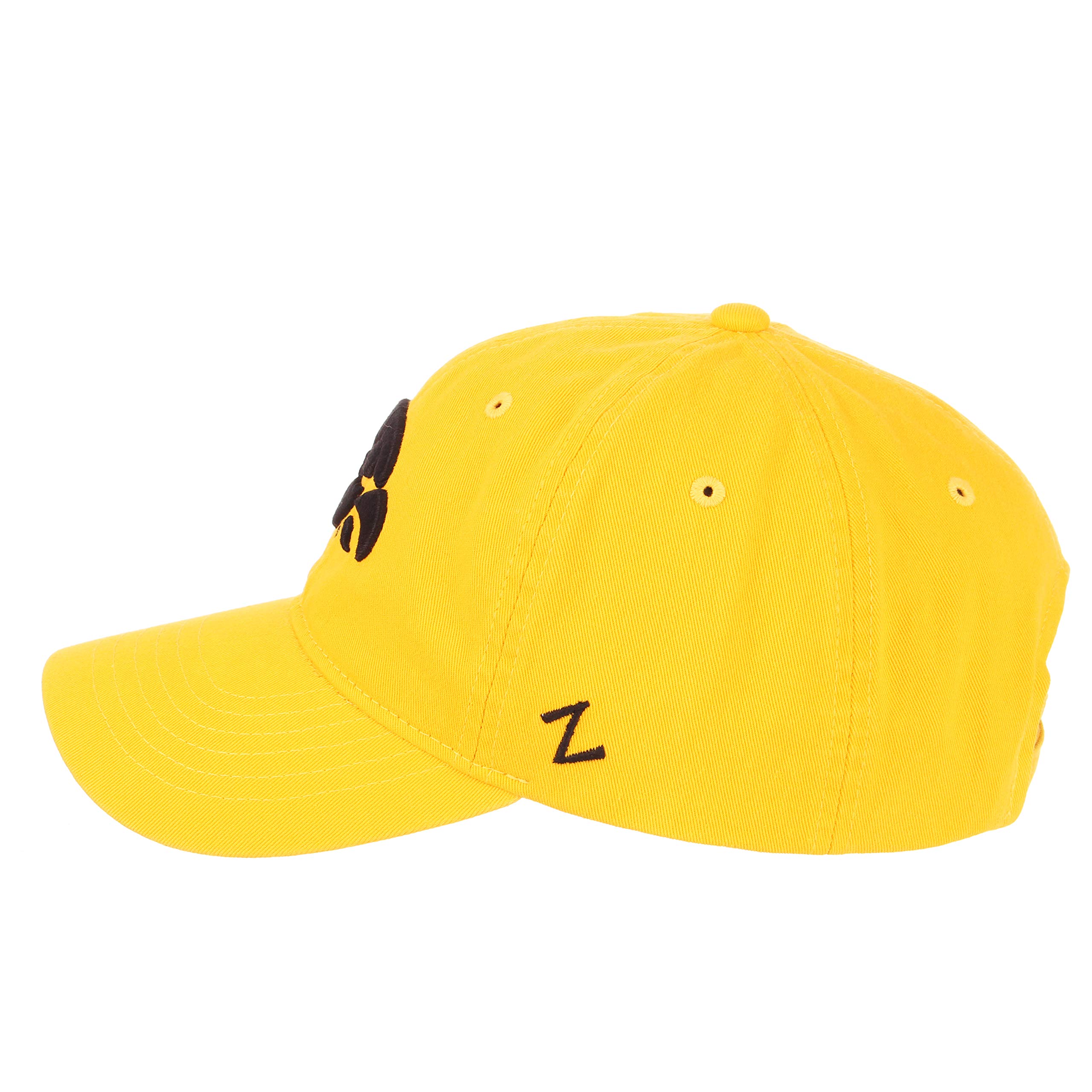 Amazon.com: Zephyr Hats: Iowa Hawkeyes