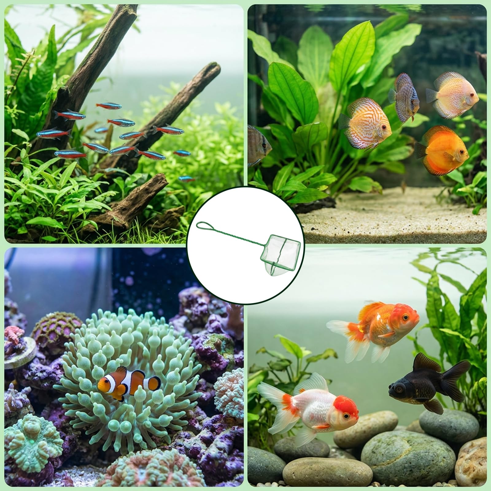 4 Stück Aquarium Kescher Klein, 3 Zoll Aquarium Fischnetz aus Weichem Nylon, Rostfreier Griff für Kleine Fische, Garnelen und Becken Reinigung