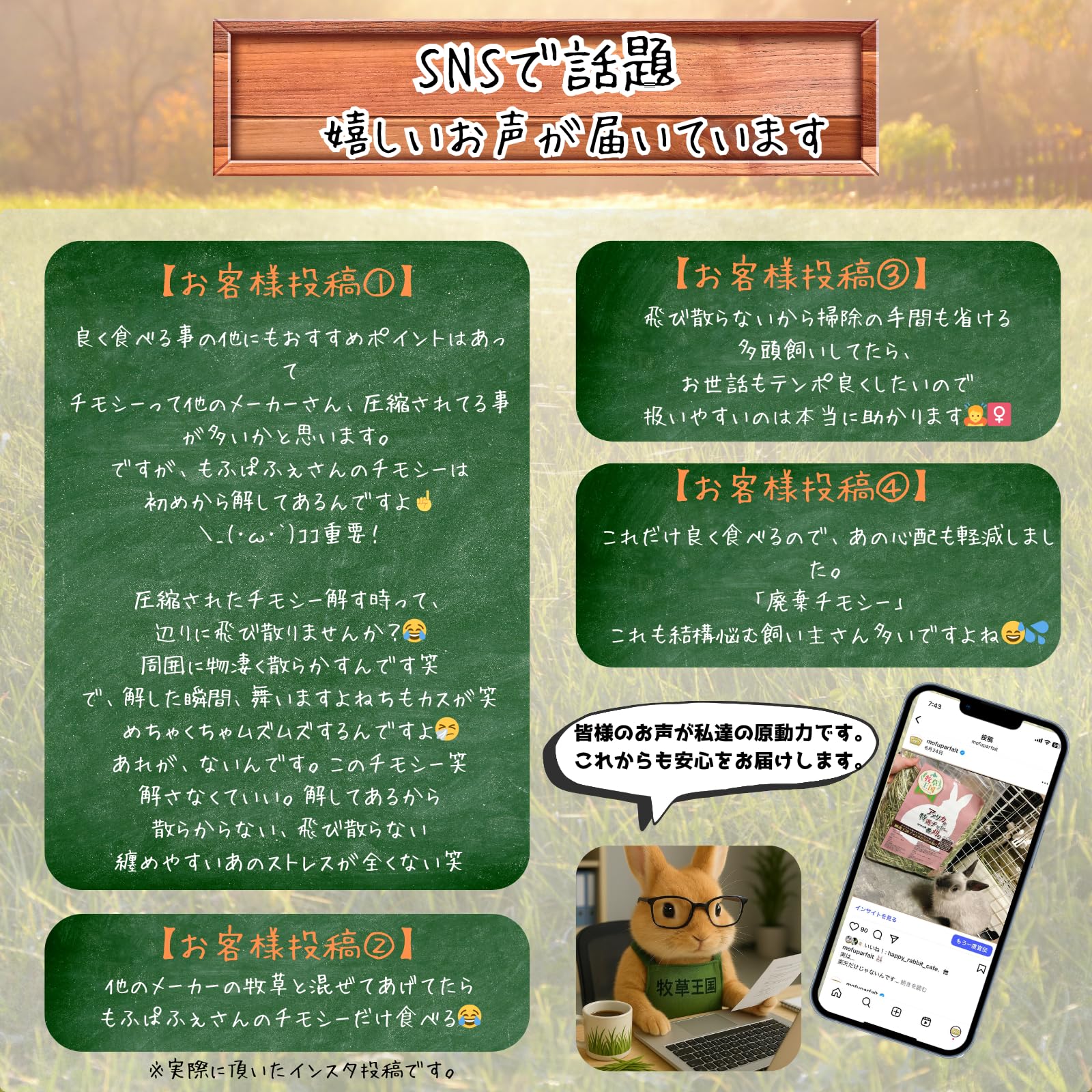 Amazon | もふぱふぇ うさぎ 牧草お試し12種 各50g チモシー