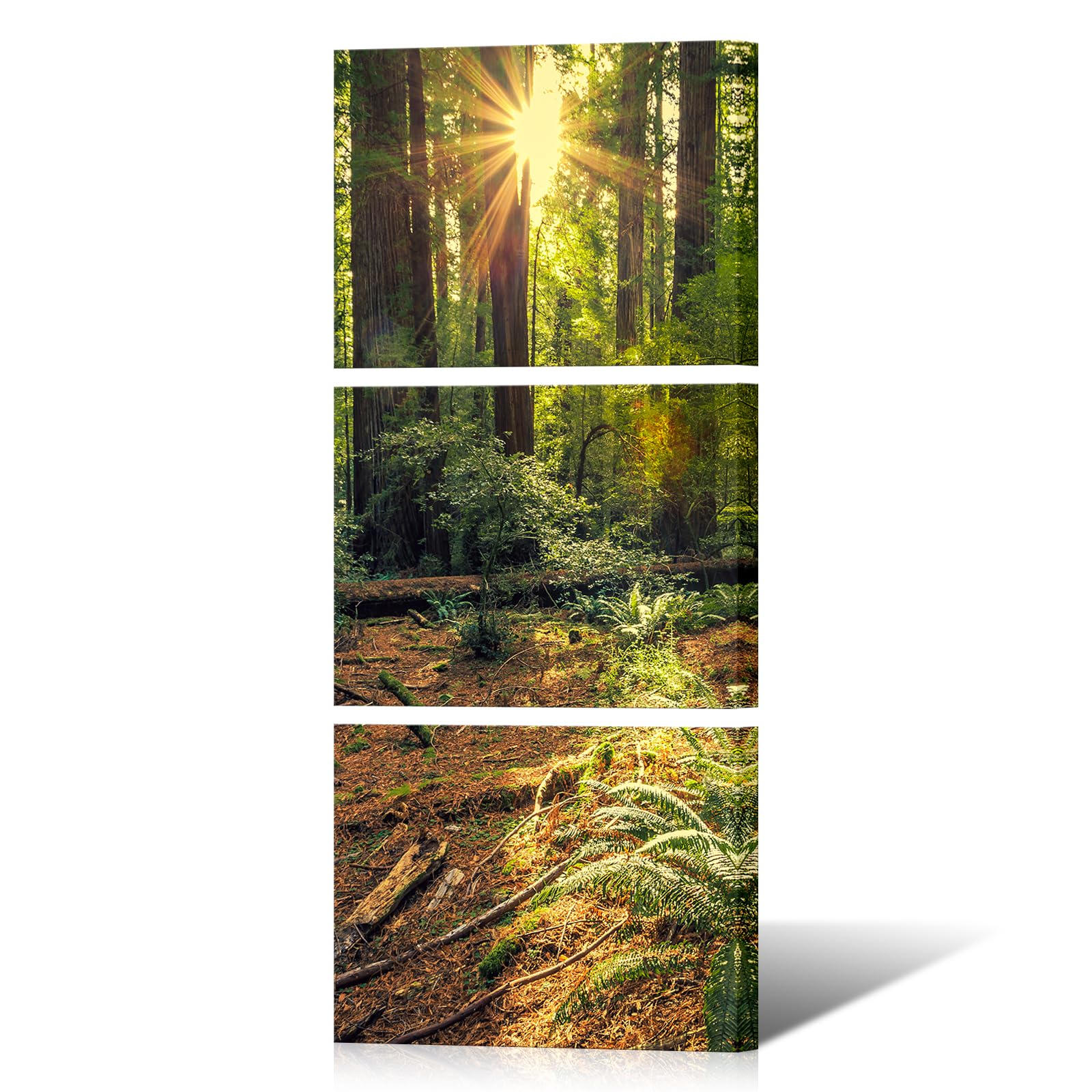 OuElegent Forest Sunrise Canvas Wall Art The Redwoods National Park Landscape Picture Prints Painting for Living Room Kitchen Bedroom Office Home Decor Ready to Hang 12"x16"x3 Panels