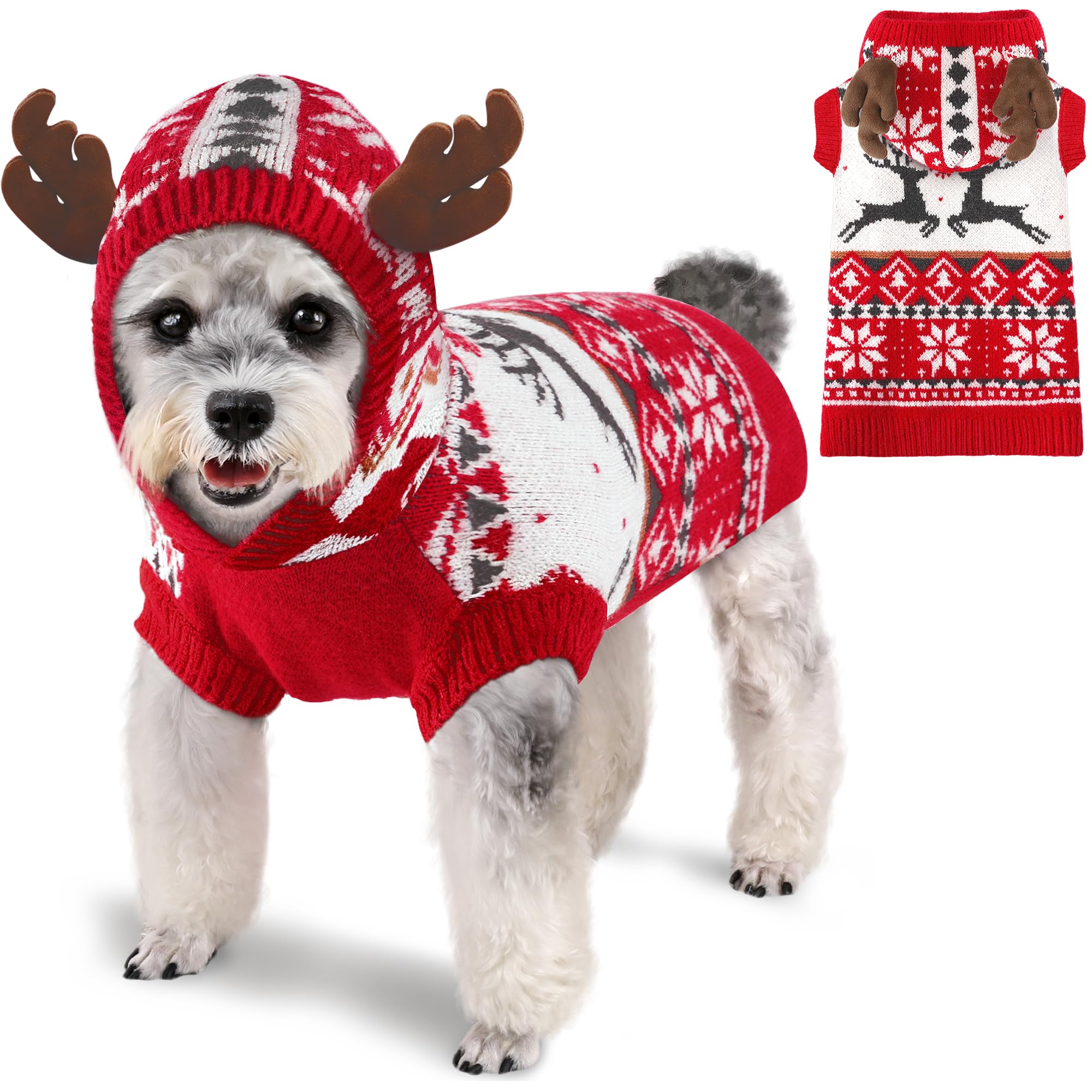 Pull de Noël pour chien et chat partagez la magie des fêtes avec votre animal