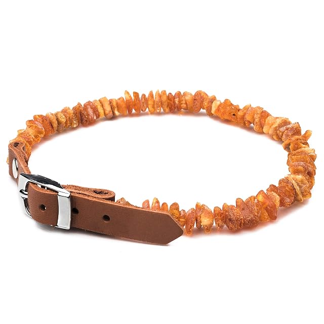 Foto 5 de 8 de Hecho a mano, collar de ámbar antigarrapatas y antipulgas totalmente natural con ajustable correa de piel…
