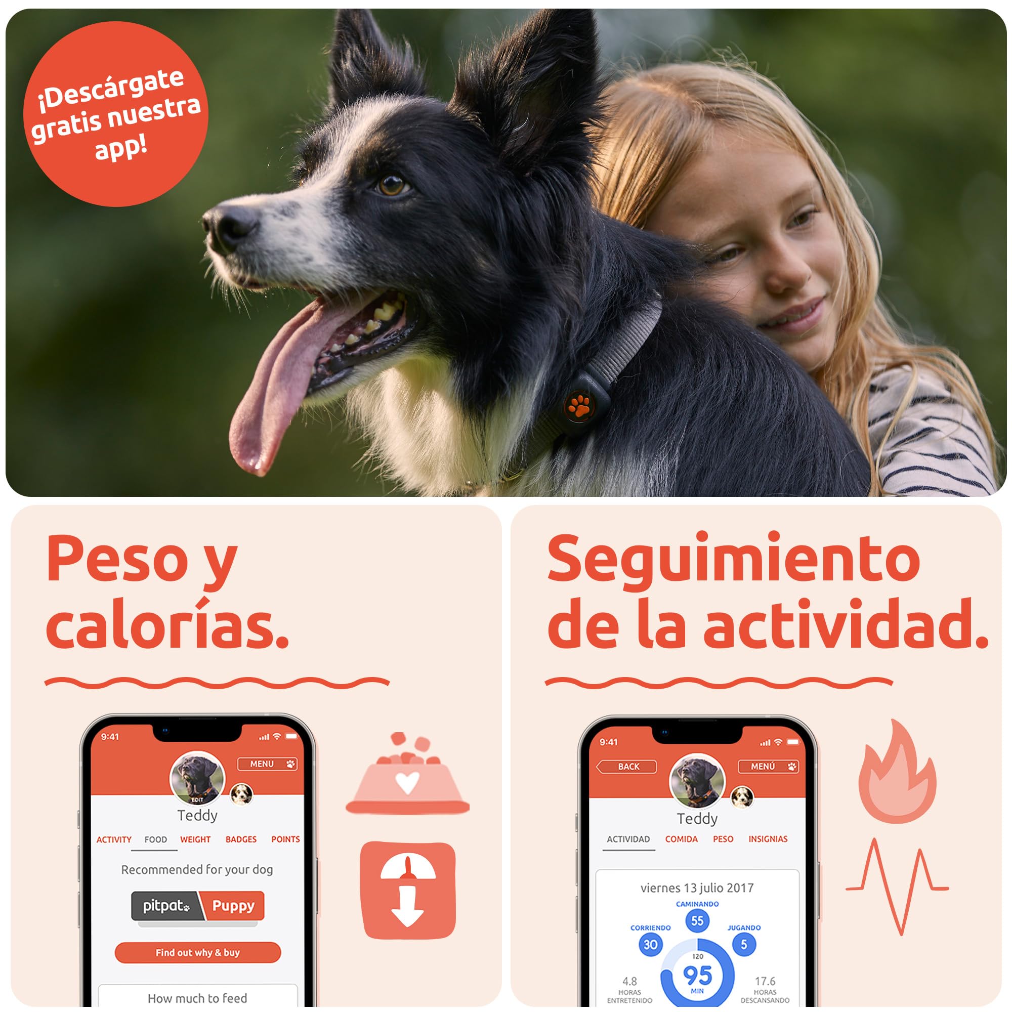 PitPat Rastreador de Actividad y Ejercicio para Perros (Sin GPS) - Inteligente, 100% Impermeable - Adecuado para Todos los Perros