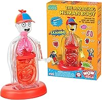 Thames & Kosmos Wow in the World Amazing Human Body Kit - Interactive Anatomy Model with Pumping Heart, Lungs, Glow Bones for Kids 4+