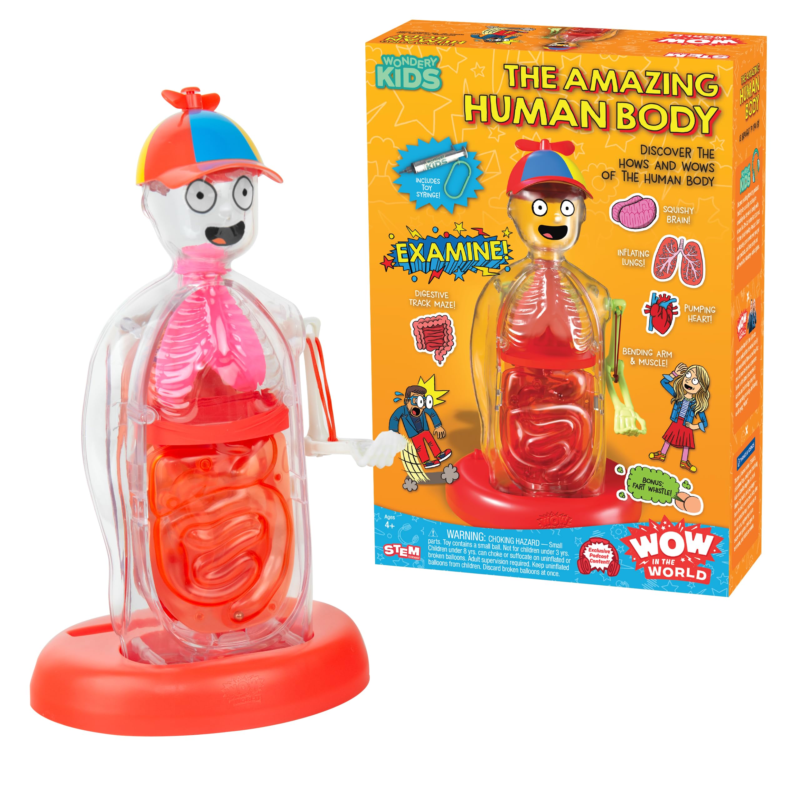 Wow in the World: The Amazing Human Body | Biology Set | Explore a See-Through Interactive Body Model | STEM Science Learning & Education | Ages 4+