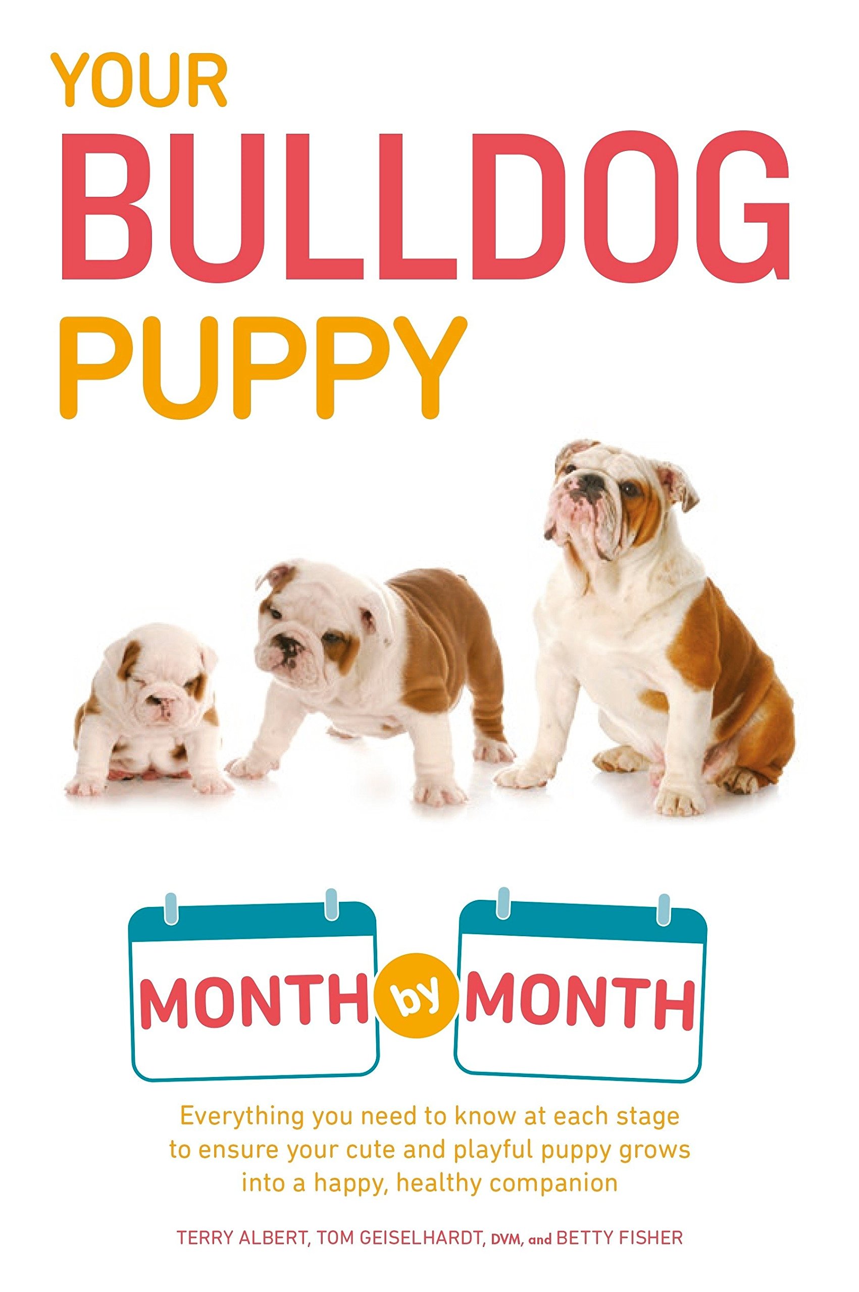 How Often To Bathe A Bulldog Puppy