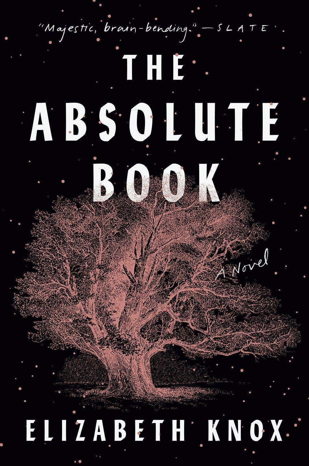 Buy The Absolute Book — BookShops.in