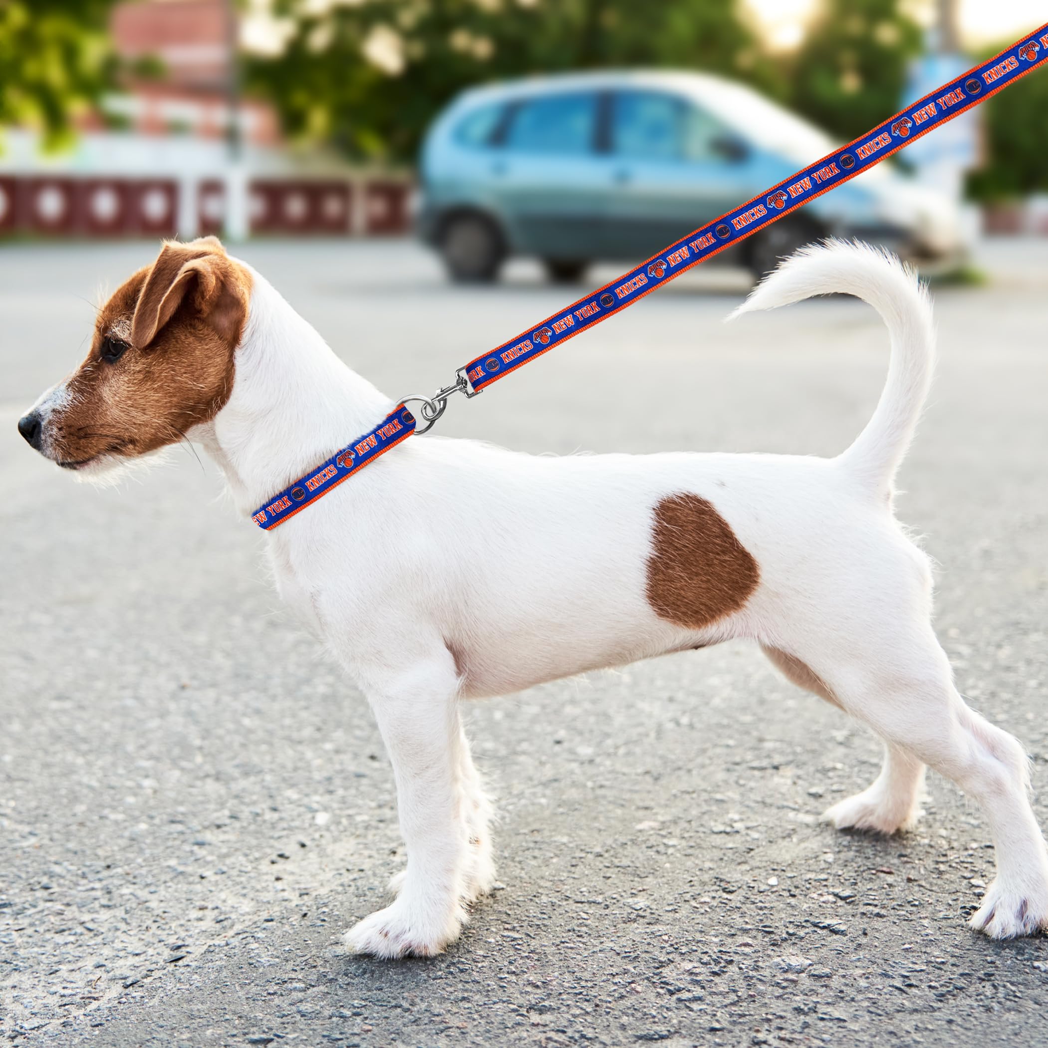 NBA PET Collar de perro de los New York Knicks, tamaño pequeño, collar de equipo de baloncesto para perros y gatos. Un collar brillante y colorido para perros y gatos con licencia de la NBA