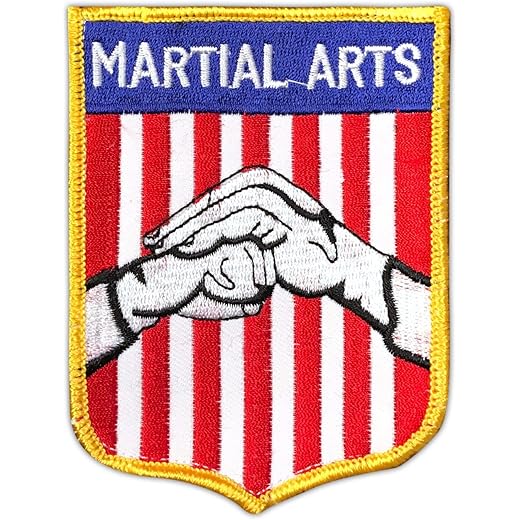 AAMA USA Flag Shield Patch - 6 pcs