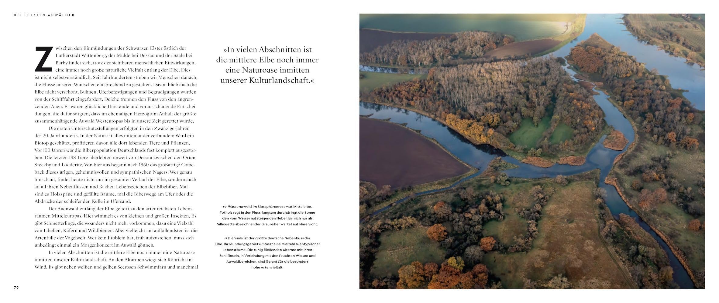 Wilde Elbe: Naturschätze zwischen Riesengebirge und Wattenmeer. Bildband Deutschland