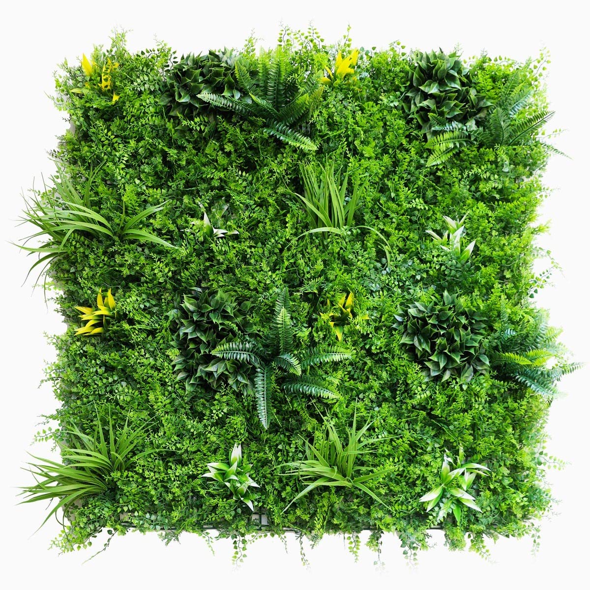 SYNTHAIETIK Mur Végétal Artificiel Fougère Dense Prix/m² Une Solution Tropicale pour Vos Espaces Intérieur et Extérieur
