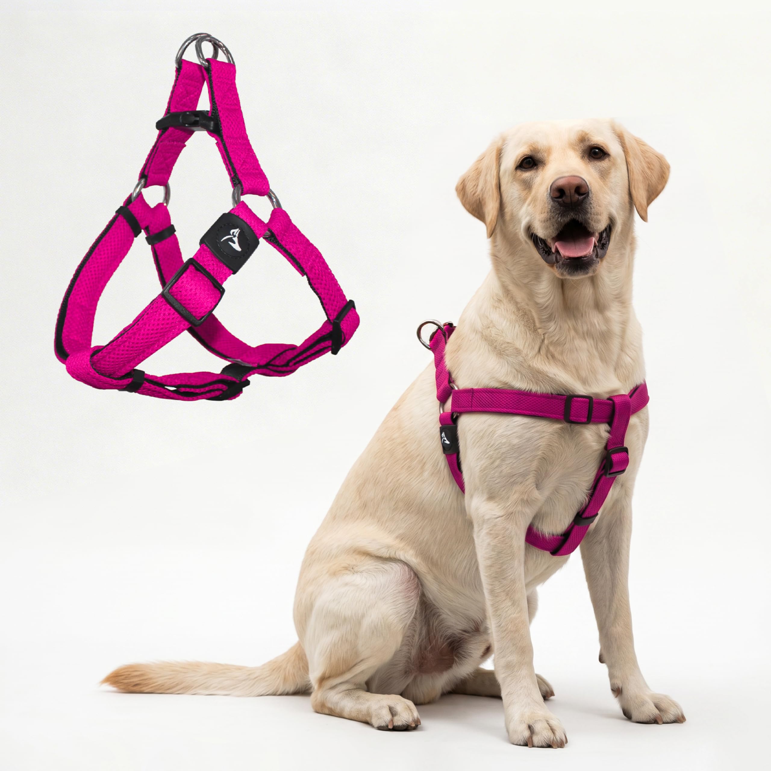 Harnais pour chien ajustable KRUZ PET rembourré pas de traction pour grand et petit chien