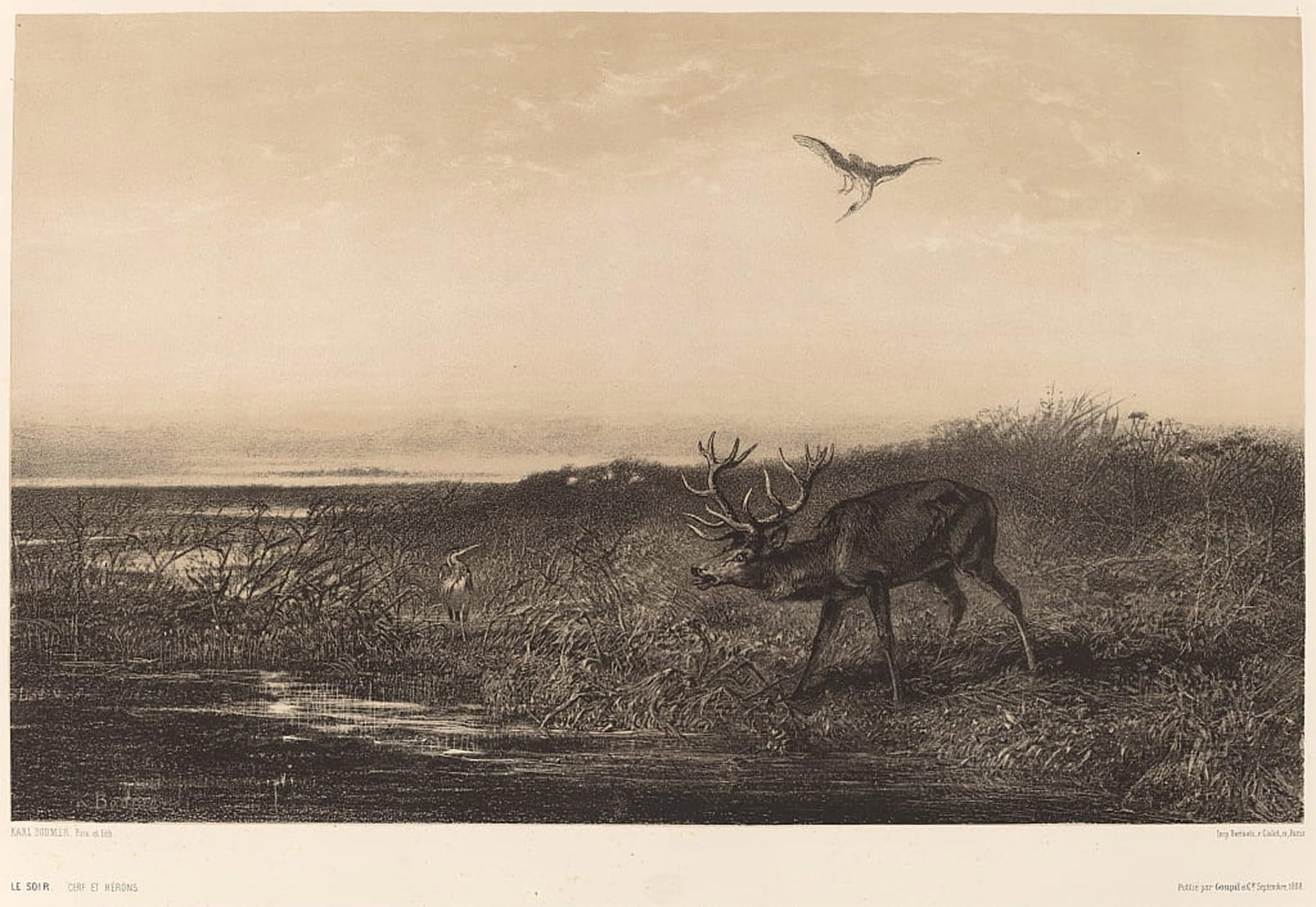 ARTXLXXBN Famous Art Print Poster Vintage Wall Art Evening Stag and Herons by Karl Bodmer Canvas Art Poster for Home Decor 60x90cm