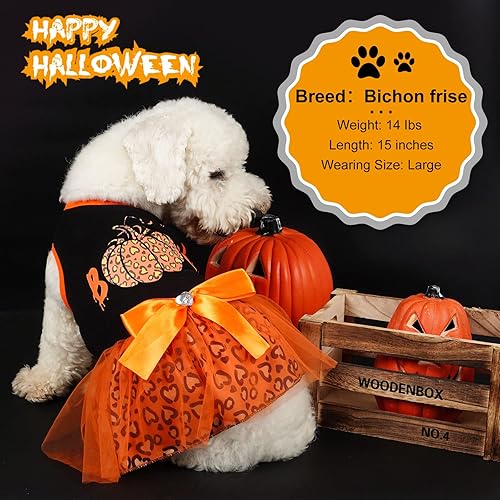 Miniatura 6 de cyeollo Vestido de Halloween para perros, ropa de fiesta de Halloween, lindo estampado de leopardo, calabaza, vestido de tul para perros pequeños