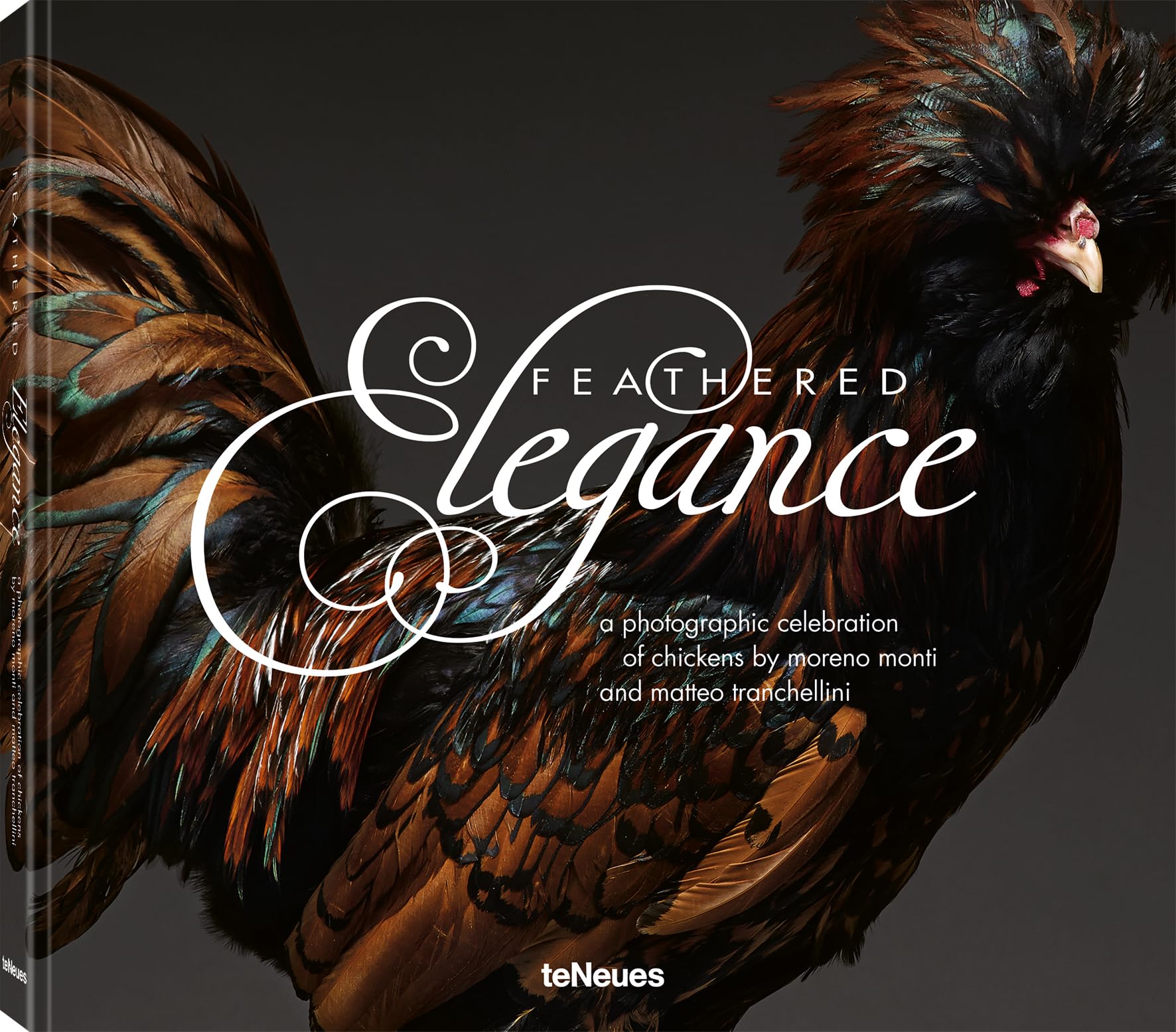Feathered Elegance by Matteo Tranchellini (Hardback Book)