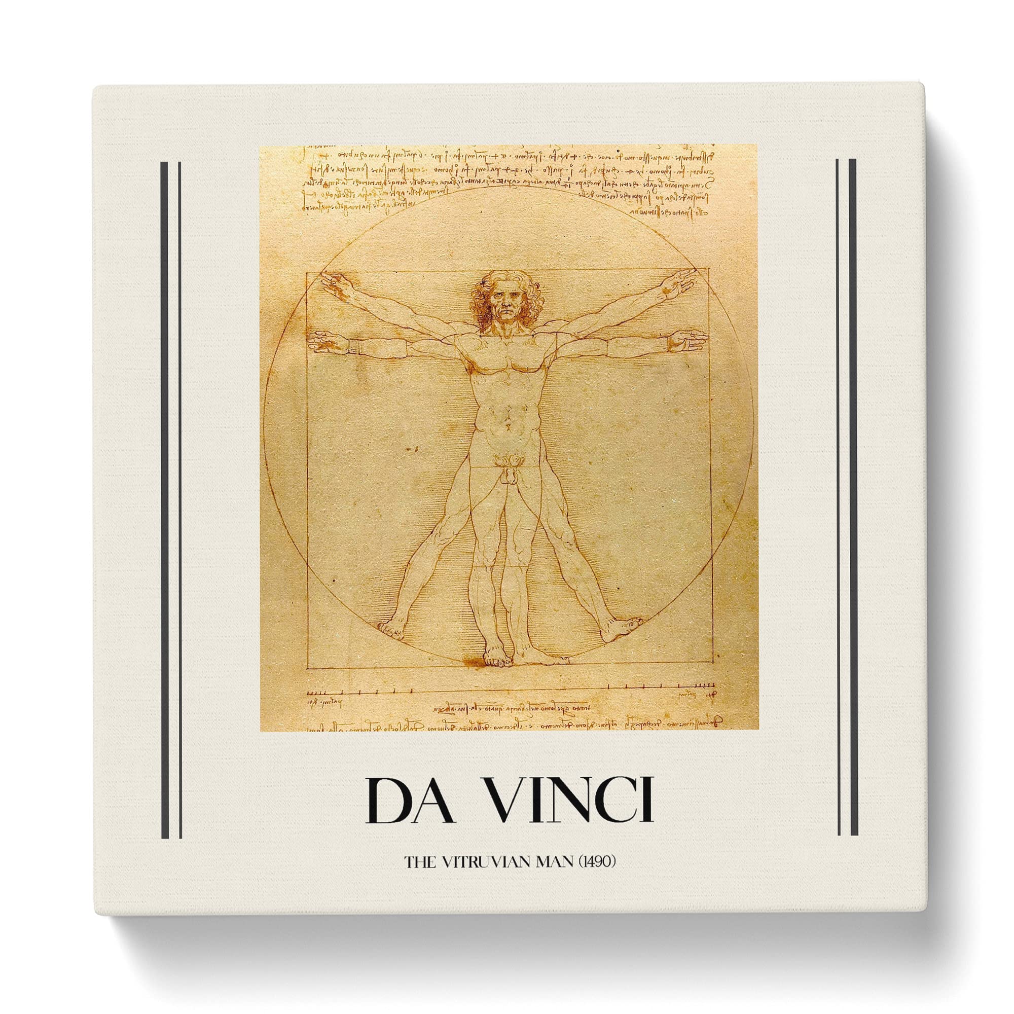 Vitruvian Man Vol.1 By Leonardo Da Vinci Canvas Print, Mixed, 35L x 35W cm - Image 3