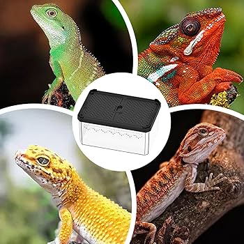 Amazon | トカゲ水槽、爬虫類, 積み重ね可能な爬虫類ケージ