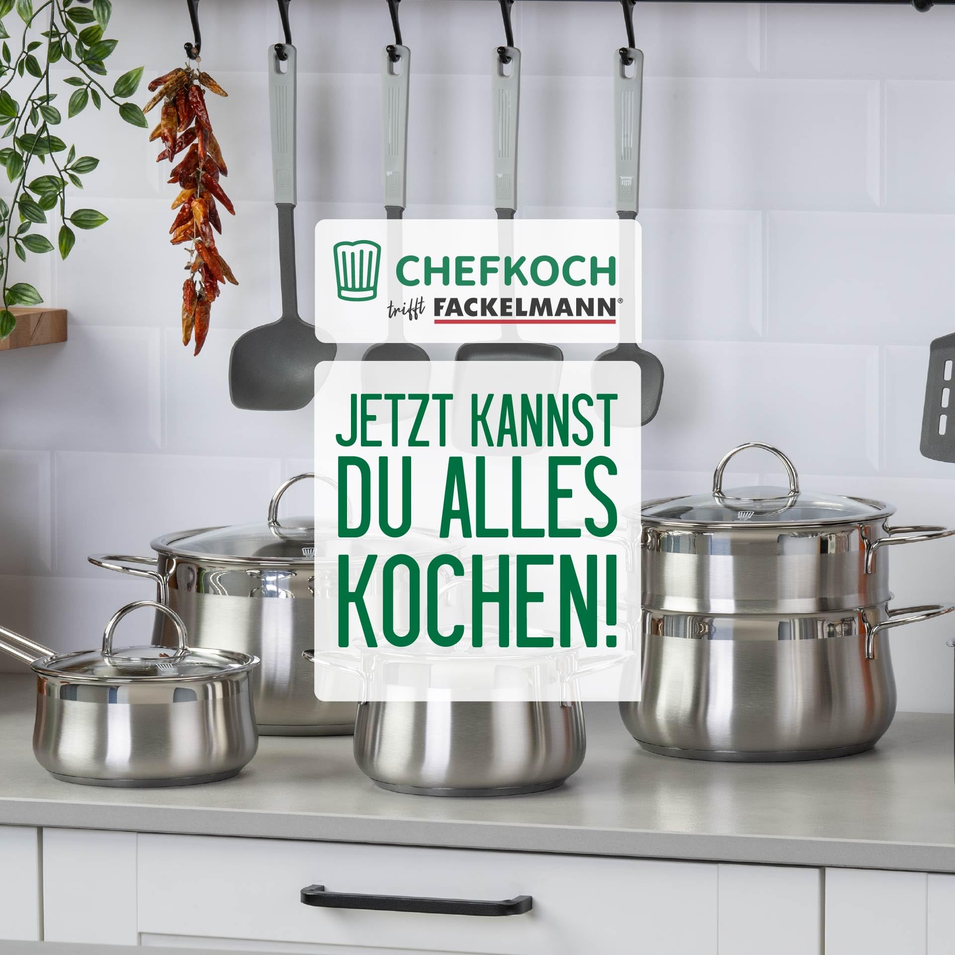 FACKELMANN Chefkoch Kochtopf mit Glasdeckel Leipzig – ø16cm, Edelstahl 18/8, Aluminium-Kern, für alle Herdarten inkl. Induktion – spülmaschinengeeignet