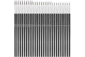 30-Piece Detail Paint Brush Set: Elevate Your Artistic Vision