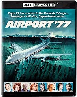 Airport '77