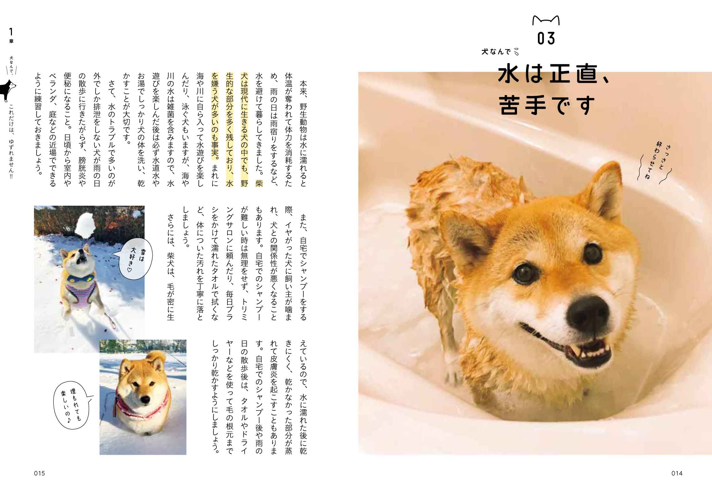 犬なんで 柴犬ハナちゃんがつぶやく 人が学ぶべき現代犬の心理 Shi Ba編集部 本 通販 Amazon