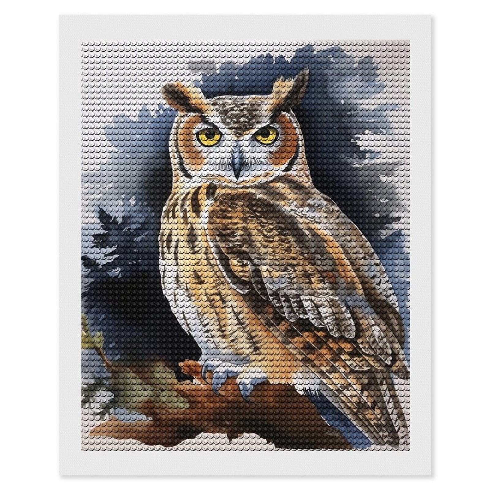 FekiLoot Owl Diamond Art Kits for Adults, 5D Aurora Diamond Painting Kits for Beginners DIY Full Drill Dots Gem Art Paint Crafts for Home Wall Decor 16"x20"