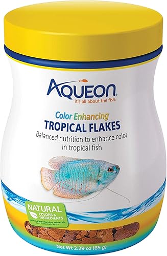 Aqueon Copos de color tropical