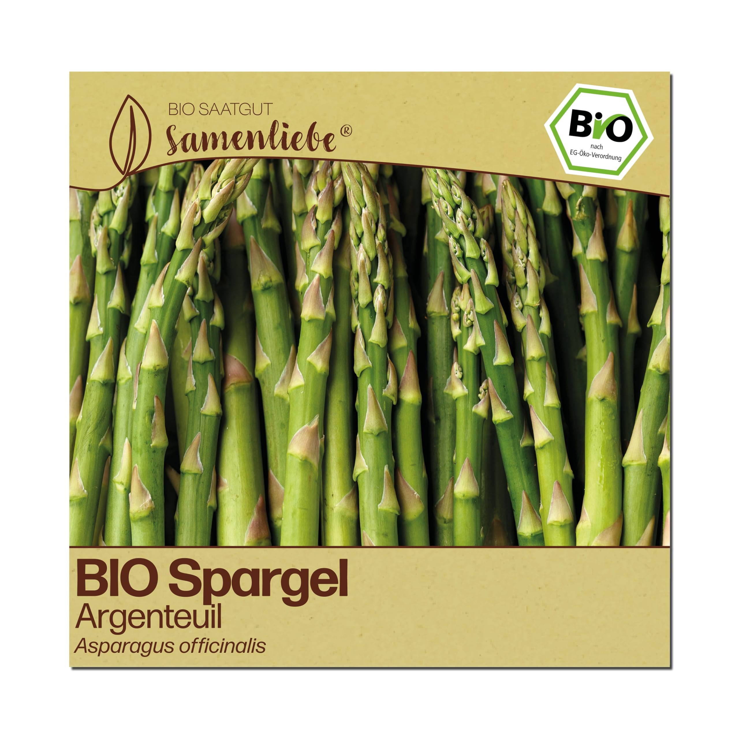 Samenliebe BIO Spargel Samen | französischer Argenteuil - grün & winterhart - samenfestes BIO Saatgut